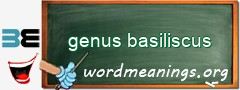 WordMeaning blackboard for genus basiliscus